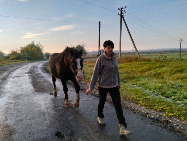 «Відпочивати не можна, бо війною заслабію», - волинянка, яка веде господарство поки чоловік воює. ВІДЕО