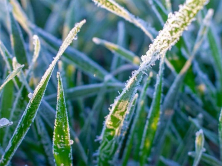 Синоптики на Волині прогнозують похолодання та заморозки у травні