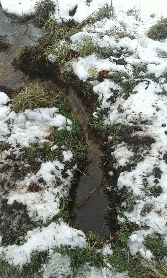 У канаву в луцькому парку стікає підозріла жовта речовина. ФОТО