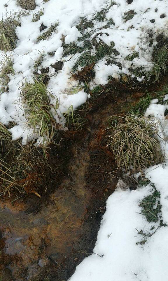 У канаву в луцькому парку стікає підозріла жовта речовина. ФОТО