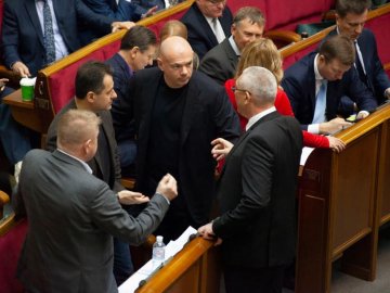 В Україні створили партію, яку очолив Палиця