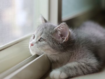 Погода у Луцьку та Волинській області на завтра, 15 лютого