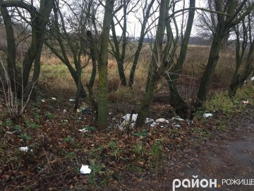 На Волині люди закидали сміттям дорогу