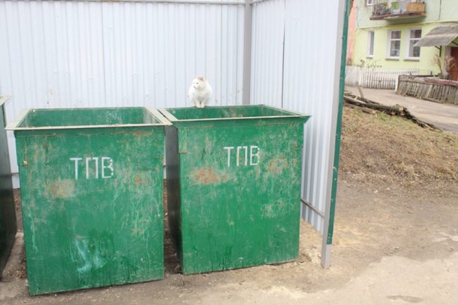 Цьогоріч у Нововолинську встановлять ще 60 контейнерів для роздільного сміття