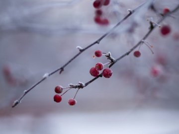 Погода в Луцьку та Волинській області на вихідні, 28 і 29 грудня