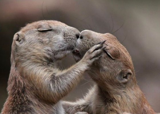 6 липня на Волині: гортаючи календар