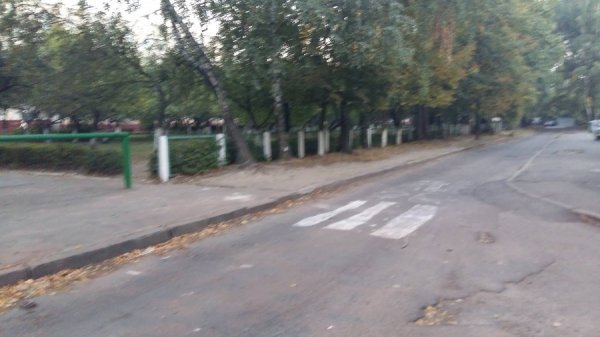 У Луцьку школяр самостійно намалював перехід. ФОТО