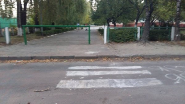 У Луцьку школяр самостійно намалював перехід. ФОТО