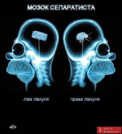 Фотожаби тижня: Путін, Добкін та «колоради»