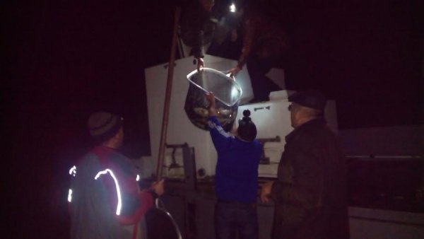 На Волині зарибнили водосховище. ФОТО