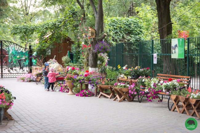 Квіти Луцького зоопарку: 37 дивовижних фото