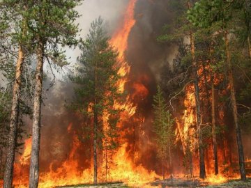 На Волині у пожежі вигоріло 70 гектарів територій
