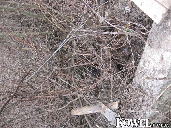 На Волині - загроза екологічної катастрофи. ФОТО