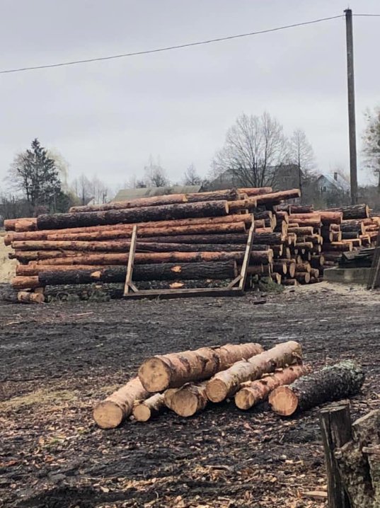 У Камінь-Каширському районі на одній із пилорам поліцейські вилучили незаконний ліс. ФОТО 
