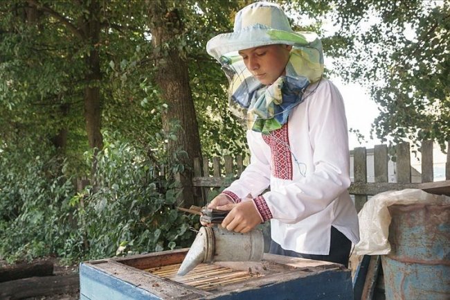 «Недитяче» захоплення: 14-річний волинянин займається бджолярстом. ФОТО. ВІДЕО