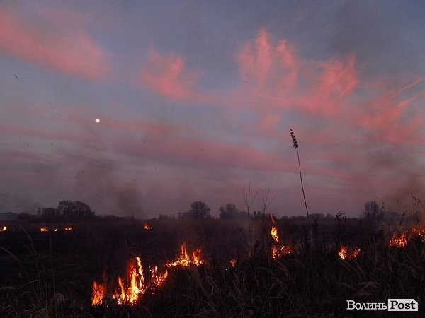У Луцьку - чергова пожежа Гнідавського болота. ФОТО. ОНОВЛЕНО