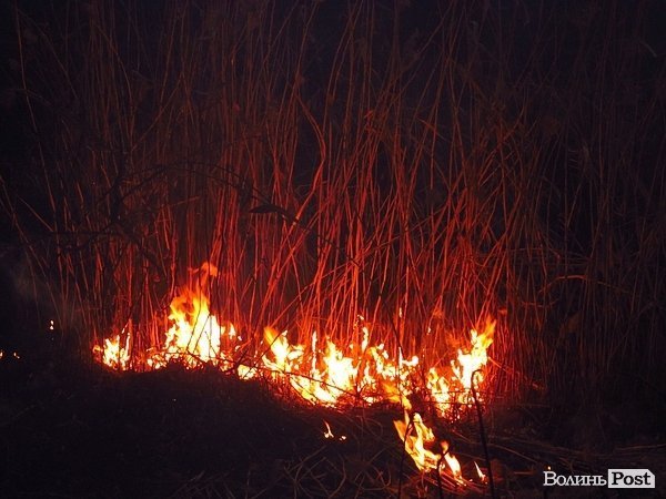 У Луцьку - чергова пожежа Гнідавського болота. ФОТО. ОНОВЛЕНО