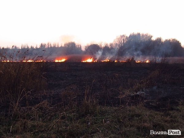 У Луцьку - чергова пожежа Гнідавського болота. ФОТО. ОНОВЛЕНО
