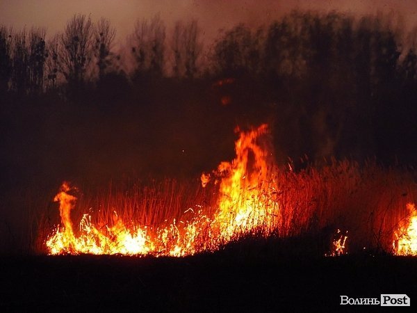 У Луцьку - чергова пожежа Гнідавського болота. ФОТО. ОНОВЛЕНО
