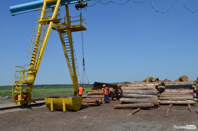 Експрес-подорож областю: на Волині – лісівники з усієї країни. ФОТО