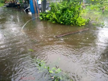 У Ковелі приватні подвір’я підтоплює міська каналізація. ФОТО