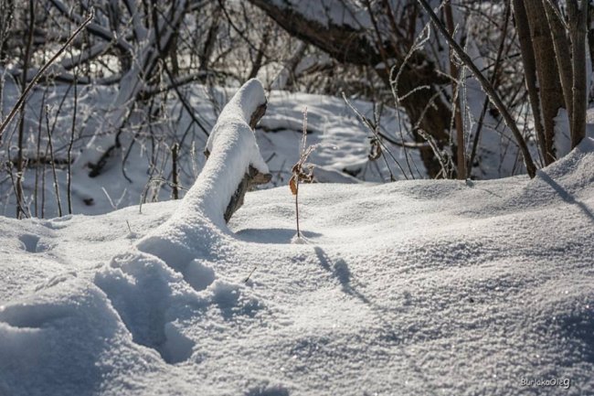 Луцький фотограф опублікував світлини зимового Стиру