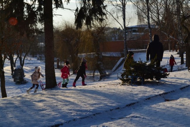 У Луцьку діти влаштували перегони на санчатах. ФОТО