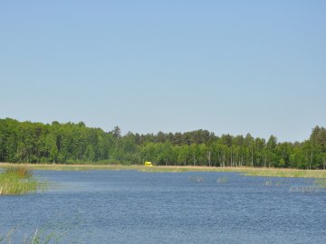 Волинянина покарали за незаконно викопаний ставок