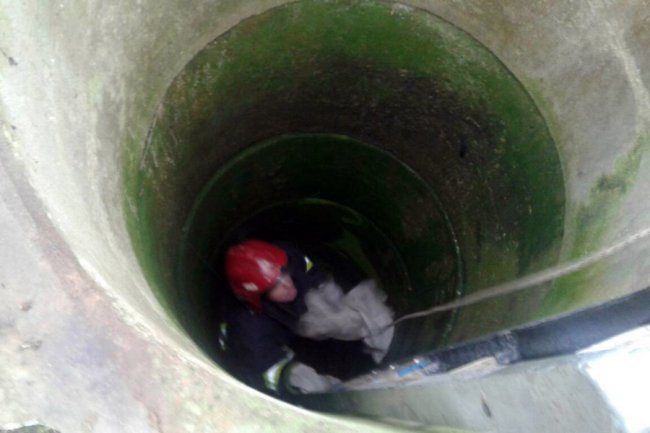 На Волині рятувальнки витягли кота з 8-метрової криниці. ФОТО