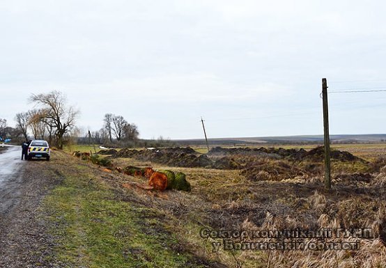 Волинська поліція за «гарячими» слідами затримала крадіїв. ФОТО