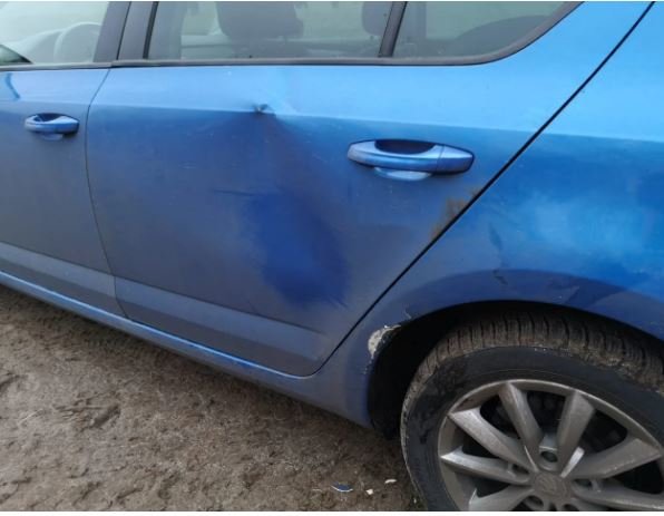 В екопарку на Київщині стадо тварин напало на людей і понівечило авто