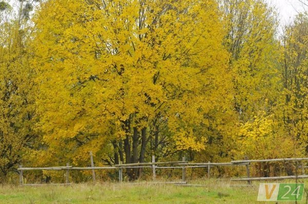 Луцький фотограф показав красу осені в музеї-скансені