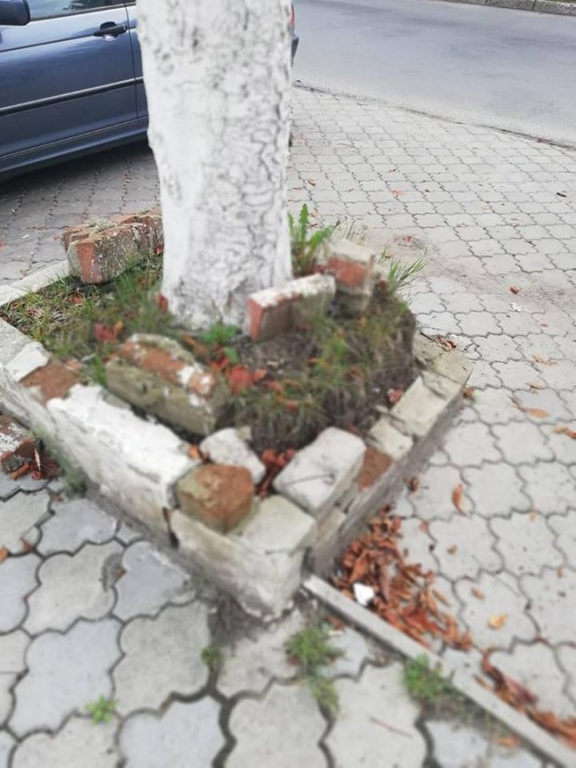 Безлад і зупинка без скла: лучани обурені роботою комунальників. ФОТО