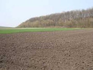 У волинського підприємця через несплату оренди забрали землю та ставок 