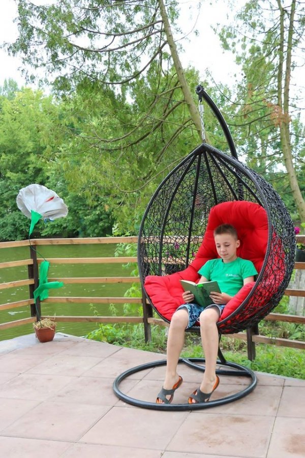  З нагоди державного свята Луцький зоопарк «розквітнув» маками. ФОТО