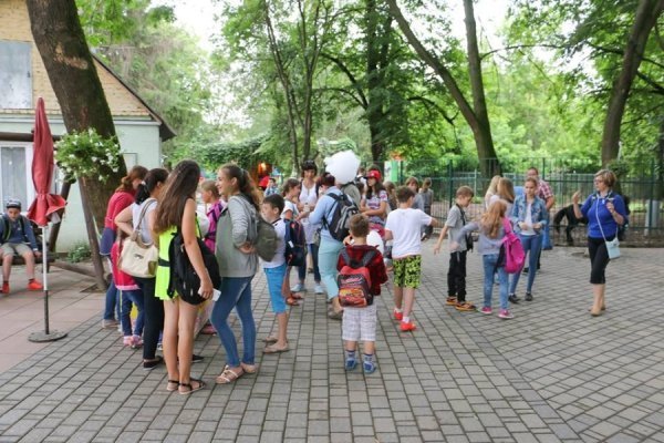  З нагоди державного свята Луцький зоопарк «розквітнув» маками. ФОТО