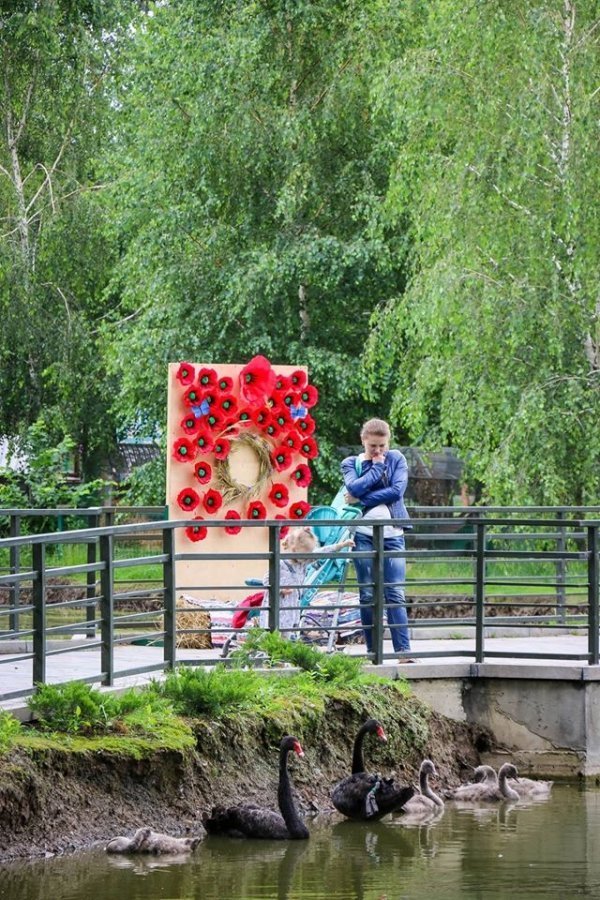  З нагоди державного свята Луцький зоопарк «розквітнув» маками. ФОТО