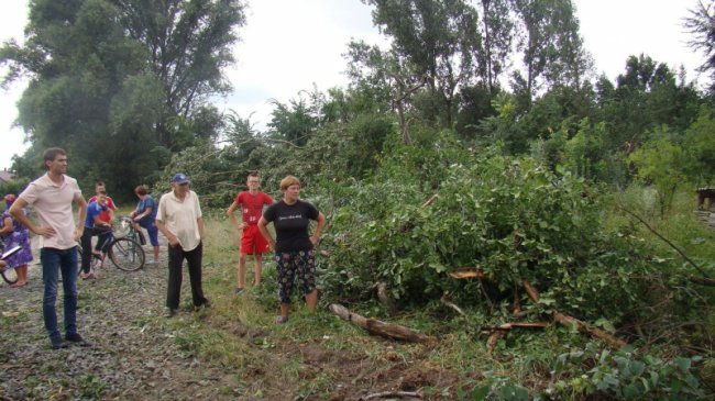Повалені дерева, пошкоджений будинок і зупинка: у районі на Волині буревій наробив лиха. ФОТО