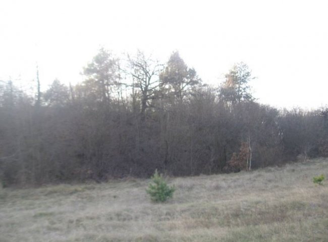 На Волині археологічна експедиція досліджувала стародавнє місто