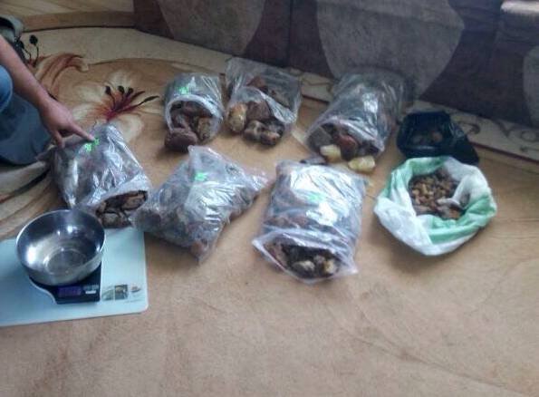 На Волині вилучили понад 30 кілограмів бурштину