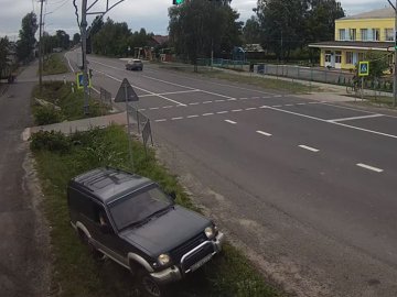 У селі під Луцьком автохам на узбіччі траси знищив соняшники. ВІДЕО