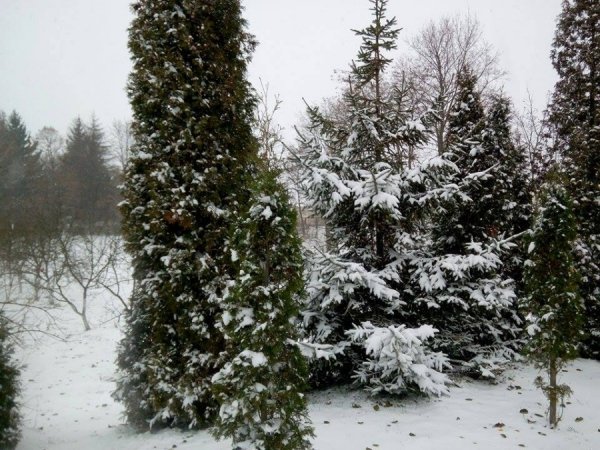 Автор фото Антон Бугайчук