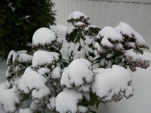 Автор фото Антон Бугайчук