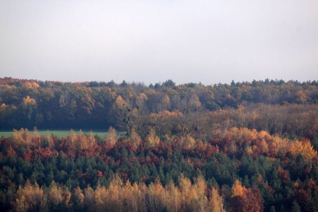 Осінні пейзажі Волинської височини: неймовірні фото
