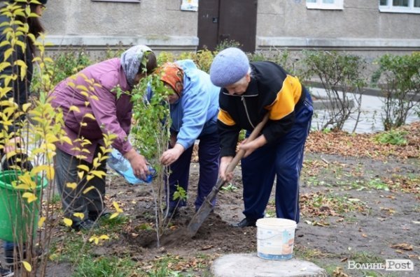 Як луцький депутат виконує свої обіцянки. ФОТО