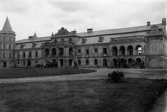 Палац в Смордві. Загальний вигляд