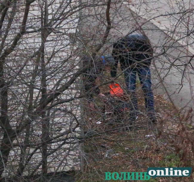 У Луцьку двоє чоловіків смажили шашлик просто під вікнами багатоповерхівки. ФОТО