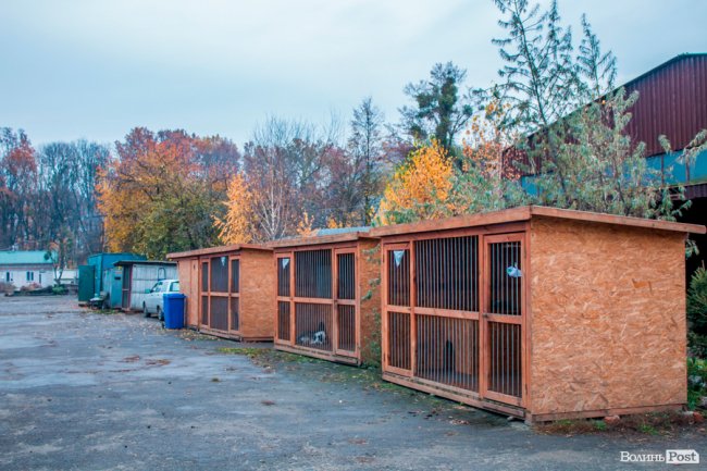 Тепло для чотирилапих: лісівники забезпечили дровами луцьку «Ласку». ФОТО