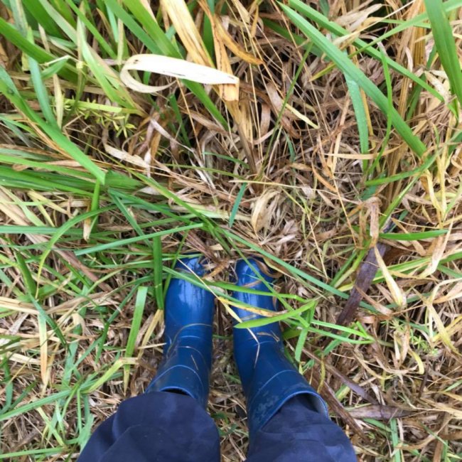 «Риболовля – це класно, якщо ви не провалюєтесь у боброву яму», – волинська журналістка