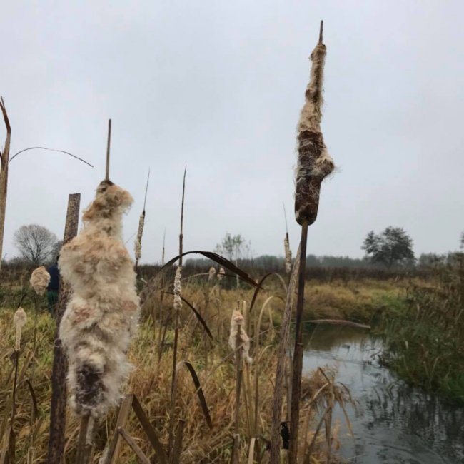 «Риболовля – це класно, якщо ви не провалюєтесь у боброву яму», – волинська журналістка